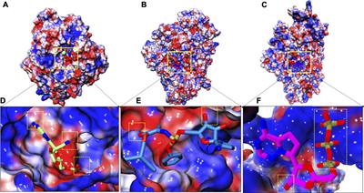 Molecular Dynamics Simulations Reveal the Interaction Fingerprint of Remdesivir Triphosphate Pivotal in Allosteric Regulation of SARS-CoV-2 RdRp